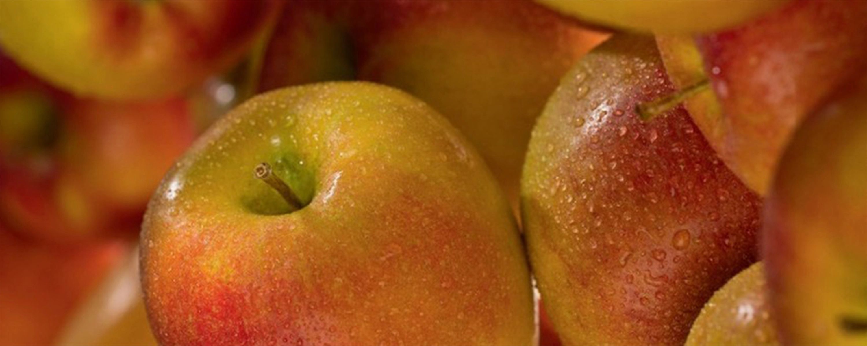 Frische, taufeuchte Äpfel von Pfalzmarkt – regionales Obst direkt von Erzeugern aus der Pfalz für den Groß‑ und Einzelhandel.